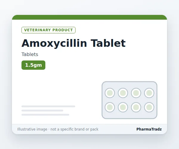 Amoxycillin Tablet Tablets manufacturers & suppliers