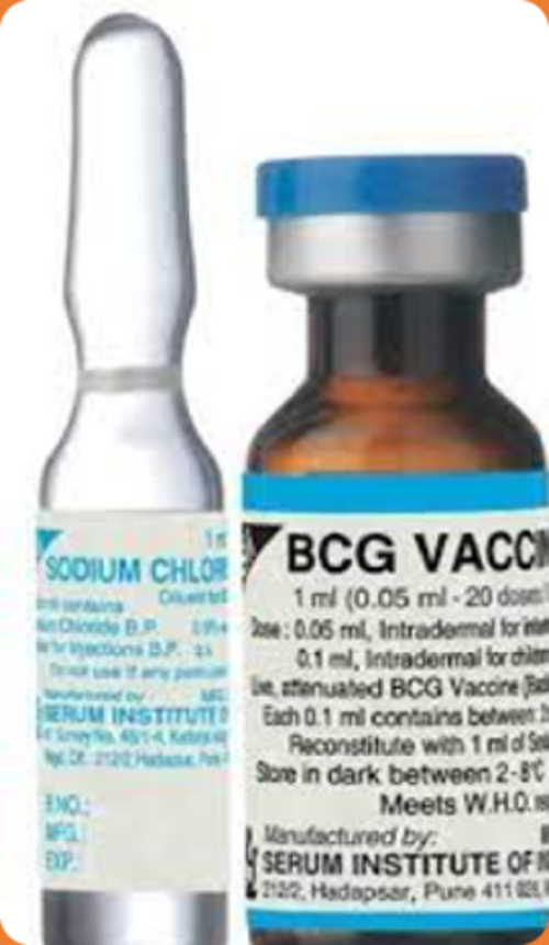 BCG Vaccine (Tuberculosis)