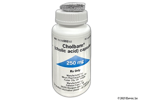 Cholic acid Capsules manufacturers & suppliers