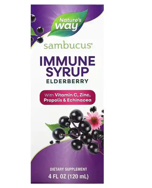 Elderberry Syrup Syrup manufacturers & suppliers