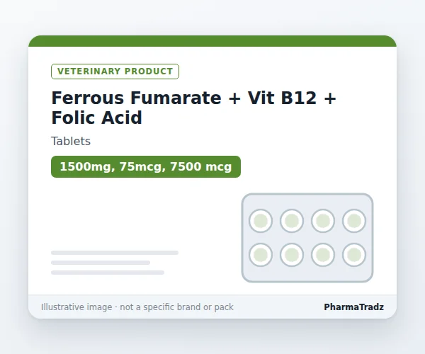 Ferrous Fumarate + Vit B12 + Folic Acid Tablets manufacturers & suppliers
