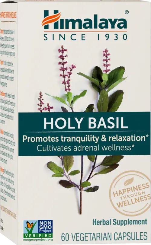 Holy Basil bulk supplier for pharma manufacturers