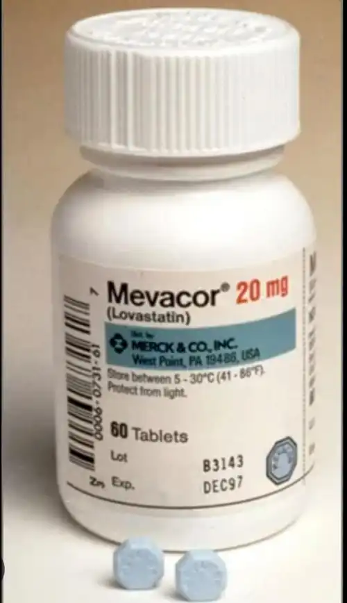 Lovastatin Tablets manufacturers & suppliers