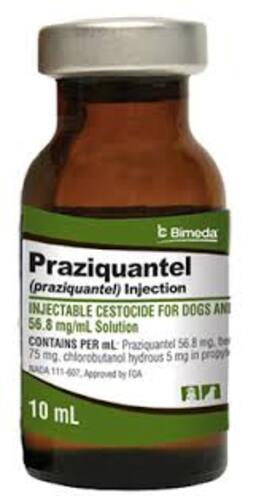 Praziquantel injection