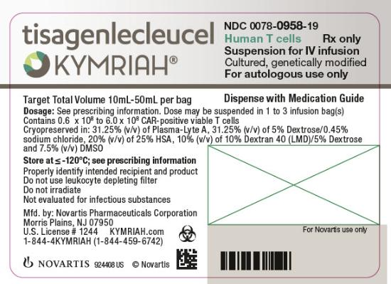 Tisagenlecleucel Infusion manufacturers & suppliers