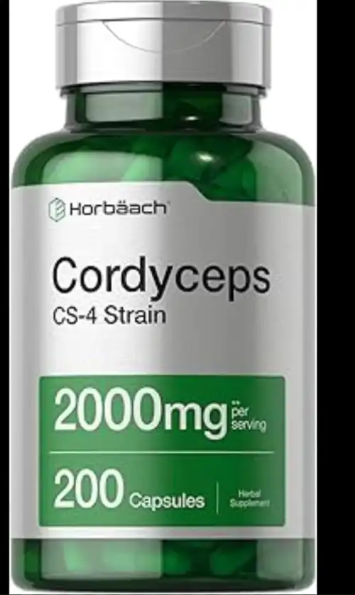 Cordyceps Mushroom manufacturers & suppliers
