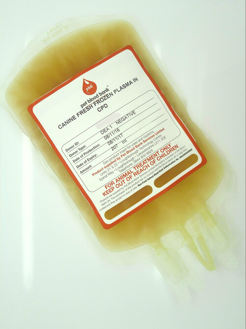 Fresh Frozen Plasma (FFP) powder for reconstitution or liquid manufacturers & suppliers