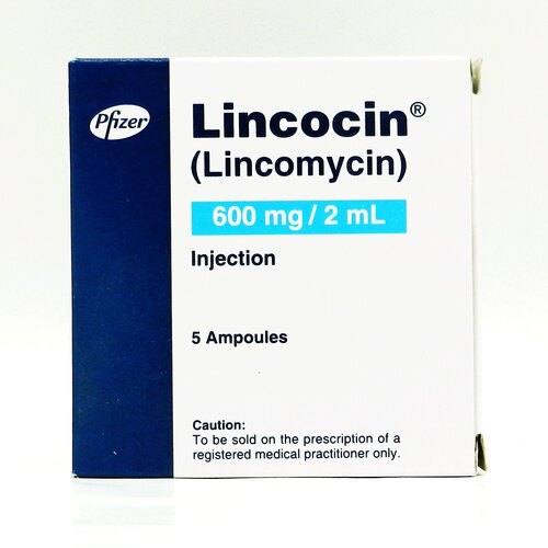 Lincomycin Injectable (IV/IM) manufacturers & suppliers