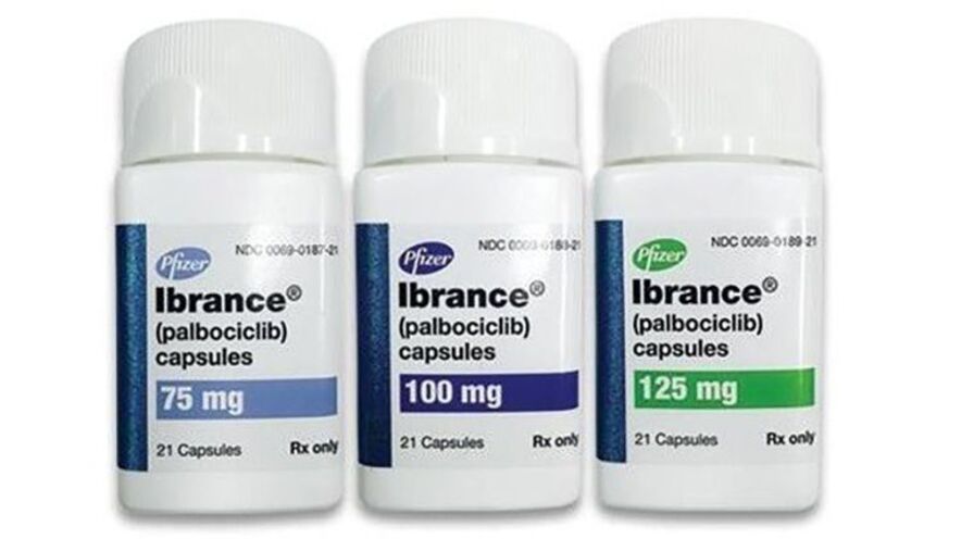 Palbociclib Tablet manufacturers & suppliers