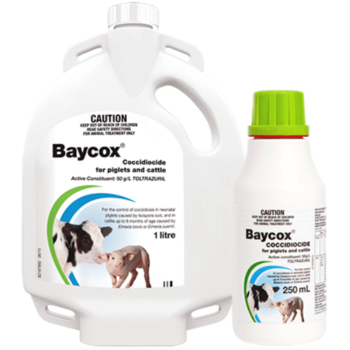 Toltrazuril Powder Powder for oral suspension manufacturers & suppliers