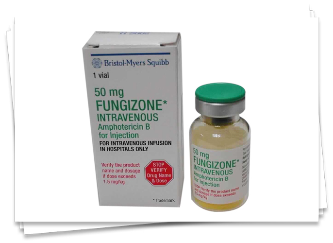 Amphotericin B injectable