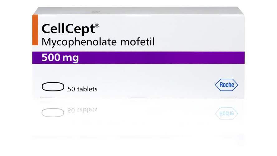 Mycophenolate Mofetil Tablet(Ref.Brand:CellCept® (US and EU)  Myfortic® (US and EU) Generics