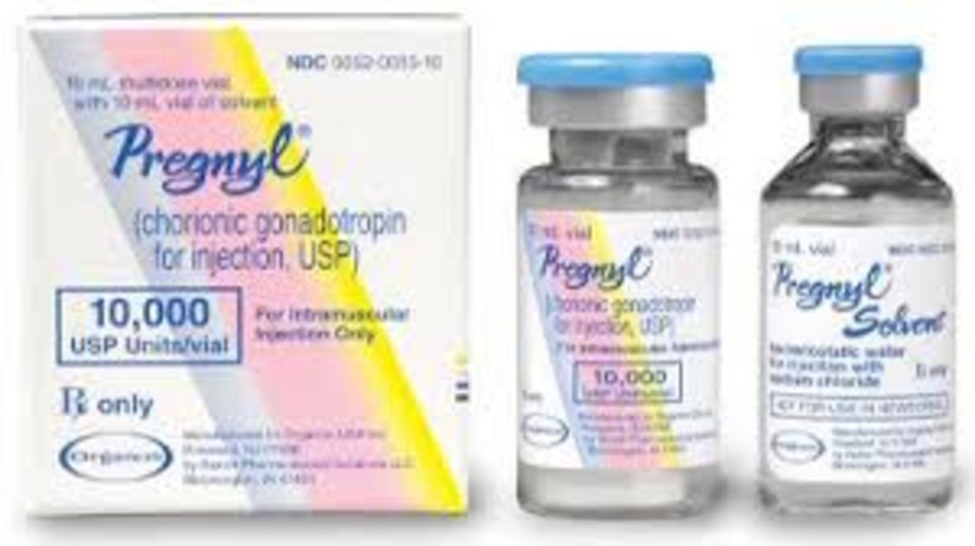hCG (human chorionic gonadotropin) or hMG (human menopausal gonadotropin)