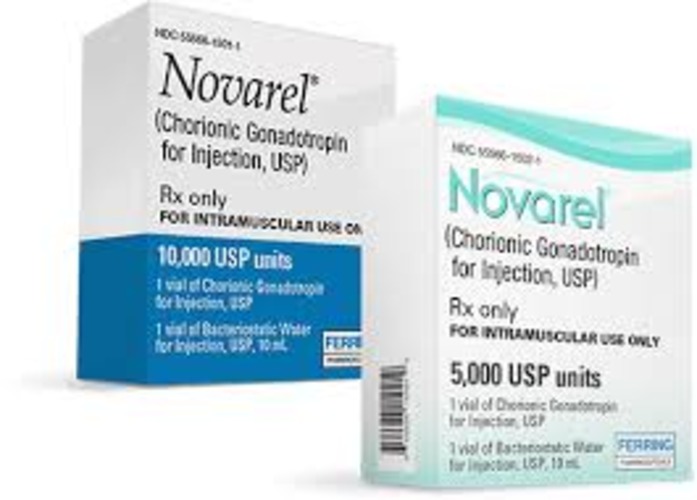 hCG (human chorionic gonadotropin) or hMG (human menopausal gonadotropin)